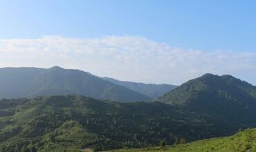 Eleganti Hotel Batumi