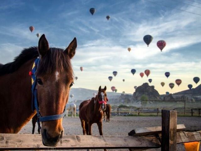 Kapadokya Turu 1 Gece Konaklamalı Ankara Çıkışlı